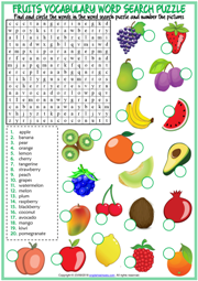 Fruits ESL Vocabulary Worksheets